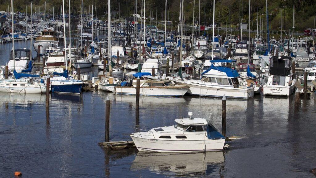 Santa Cruz Wharf image